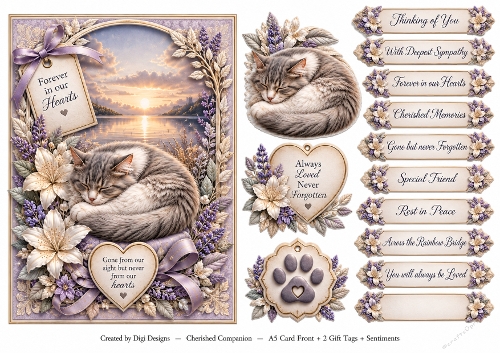 A5 Sleepy Cat Quick Card Front with Sentiments 