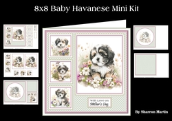 8x8 Baby Havanese Mini Kit - x5 A4 Sheets