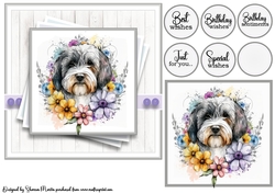 7x7 Dog 1 (Bichon) Card Front with Topper & Sentiments