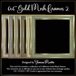 6x6 Gold Mesh Frames Collection 2 - x6 Frames in JPEG & PNG