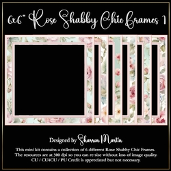 6x6 Rose Shabby Chic Frames - x6 Frames PNG