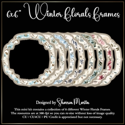 6x6 Winter Florals Frames - x8 Frames in PNG