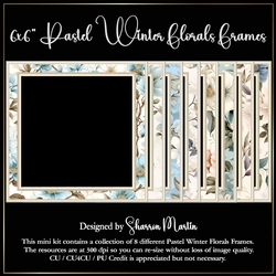 6x6 Winter Florals Frames - x8 Frames in PNG