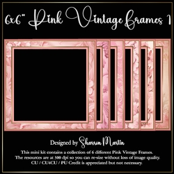 6x6 Pink Vintage 1 - x6 Frames 1-6 PNG