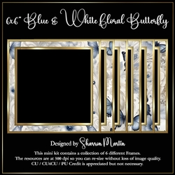 6x6 Blue & White Floral Butterfly Frames 1-6 in PNG
