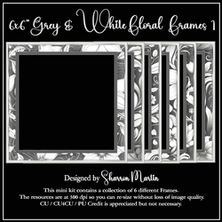 6x6 Grey & White Floral Frames 1-6 in PNG