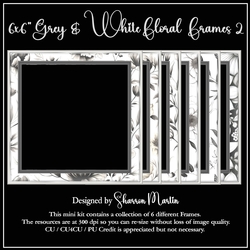 6x6 Grey & White Floral Frames 7-12 in PNG