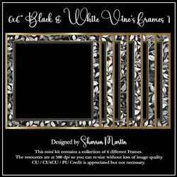 6x6 Black & White Vine Frames 1-6 in PNG