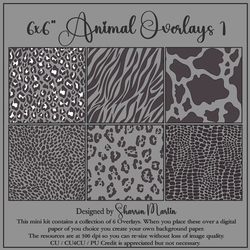 6x6 Animal Overlays 1-6 in PNG
