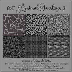 6x6 Animal 2 Overlays 7-12 in PNG