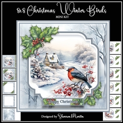 8x8 Christmas Winter Birds Mini Kit - x11 A4 Sheets