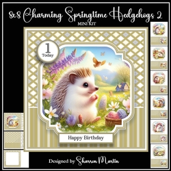 8x8 Charming Springtime Hedgehogs Mini Kit 7-12 - x9 A4 Sheets
