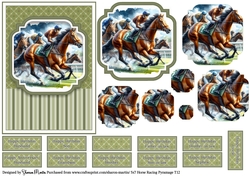 5x7 Horse Racing T12