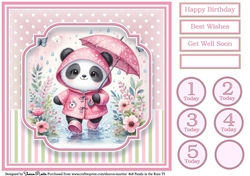 8x8 Panda in the Rain T5