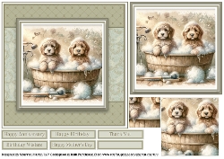 7x7 Cockapoo Dogs in the tub Quick Card 
