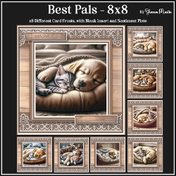 8x8 Best Pals Card Fronts - x8 Different designs with Insert & Sentiment Plates in PNG