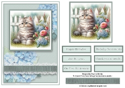 A5 British Long Haired Cat Quick Card Front