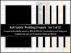 8x8 Subtle Wedding Frames 1-12 in JPEG & PNG