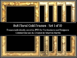 8x8 Floral Gold Frames 1-10 JPEG 
