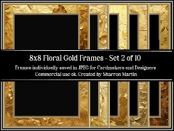 8x8 Floral Gold Frames 11-20 JPEG