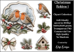 Christmas Robins 1 Clipart Collection