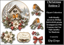 Christmas Robins 2 Clipart Collection