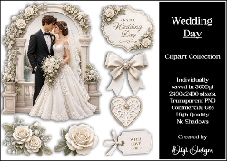 Wedding 2 Clipart Collection PNG  