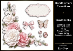 Carnations 3 Floral Corners PNG 