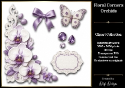 Orchids 2 Clipart Collection PNG