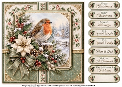 Ornate Christmas Robins - Quick Card