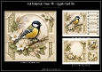 Botanical Great Tit - Quick Card Kit