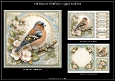 Chaffinch - Quick Card Kit