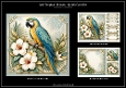 Macaw - Quick Card Kit