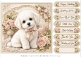 8x8 Bichon Frise Quick Card Fronts with Sentiments