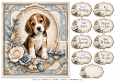 8x8 Blue Beagle Quick Card Fronts with Sentiments