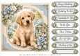 8x8 Labrador Quick Card Fronts with Sentiments