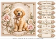 8x8 Blush Golden Retriever Quick Card Fronts with Sentiments