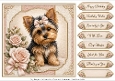 8x8 Blush Rose Yorkie Quick Card Fronts with Sentiments