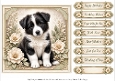 8x8 Border Collie Quick Card Fronts with Sentiments