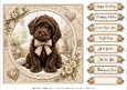 8x8 Chocolate Cockapoo Quick Card Fronts with Sentiments