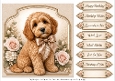 8x8 Apricot Cockapoo Quick Card Fronts with Sentiments