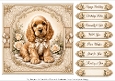 8x8 Cocker Spaniel Quick Card Fronts with Sentiments