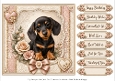 8x8 Daschund Quick Card Fronts with Sentiments