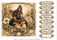 8x8 German Shepherd Quick Card Fronts with Sentiments