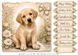 8x8 Golden Labrador Quick Card Fronts with Sentiments