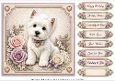8x8 Lilac Westie Quick Card Fronts with Sentiments