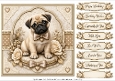 8x8 Pug Quick Card Fronts with Sentiments