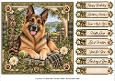 8x8 Rustic German Shepherd Quick Card Fronts with Sentiments