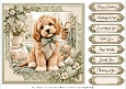 8x8 Sage Snuggle Pup Quick Card Fronts with Sentiments