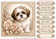 8x8 Shih Tzu Quick Card Fronts with Sentiments